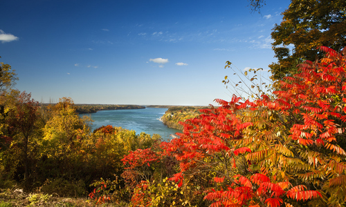 View of the Niagara River in the fall